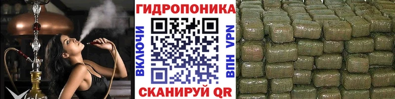 Купить  Западная Двина  Каннабис White Widow 